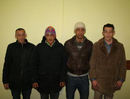 Patru migranţi din Palestina şi Kosovo au încercat să treacă ilegal în Ungaria prin Salonta